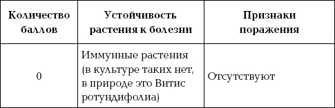 Ваш домашний виноградник Ваш домашний виноградник
