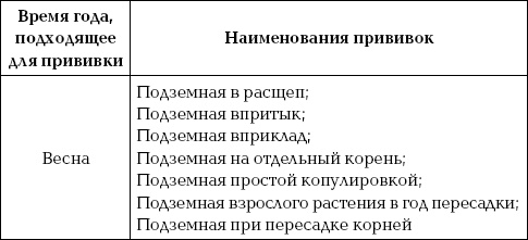 Ваш домашний виноградник Ваш домашний виноградник