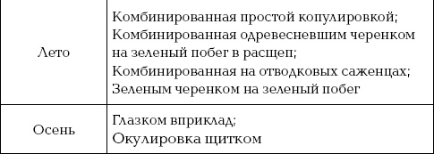 Ваш домашний виноградник Ваш домашний виноградник