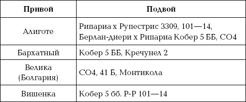 Ваш домашний виноградник Ваш домашний виноградник