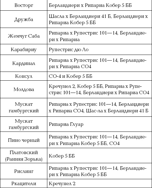 Ваш домашний виноградник Ваш домашний виноградник