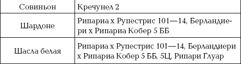 Ваш домашний виноградник Ваш домашний виноградник