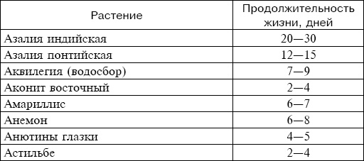 Букеты. Искусственные цветы Букеты. Искусственные цветы