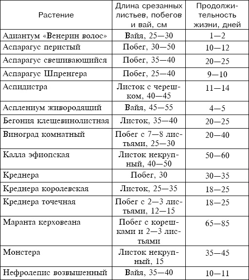 Букеты. Искусственные цветы Букеты. Искусственные цветы