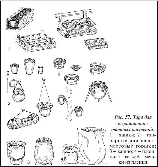 Современные теплицы и парники Современные теплицы и парники