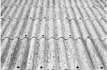 Благоустройство территории вокруг коттеджа Благоустройство территории вокруг коттеджа