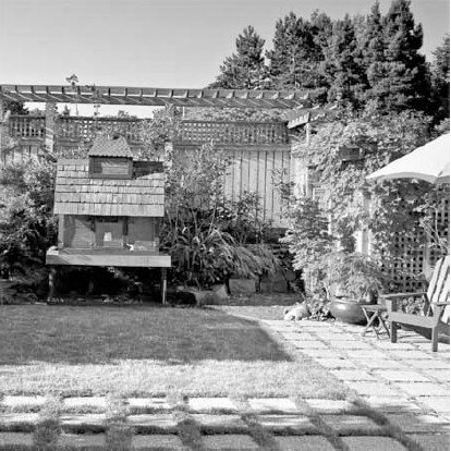 Благоустройство территории вокруг коттеджа Благоустройство территории вокруг коттеджа