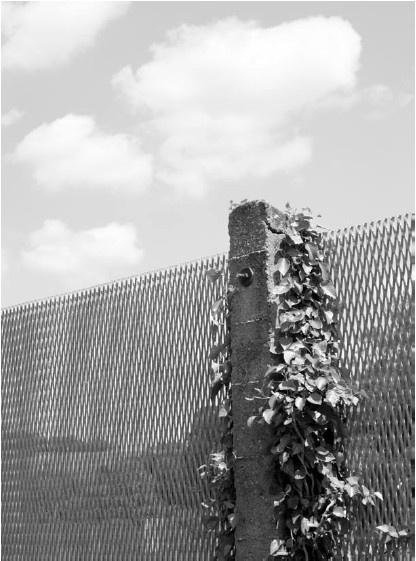 Благоустройство территории вокруг коттеджа Благоустройство территории вокруг коттеджа