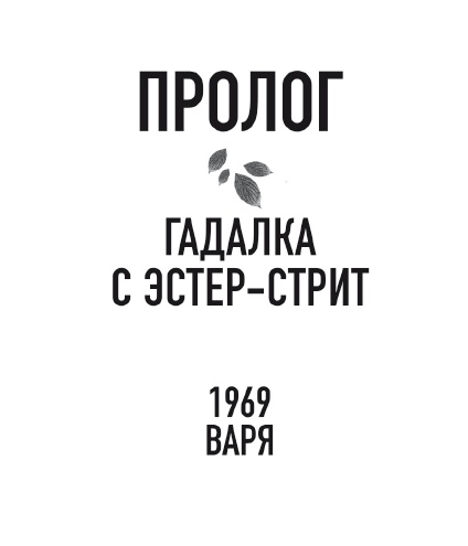 Бессмертники Бессмертники