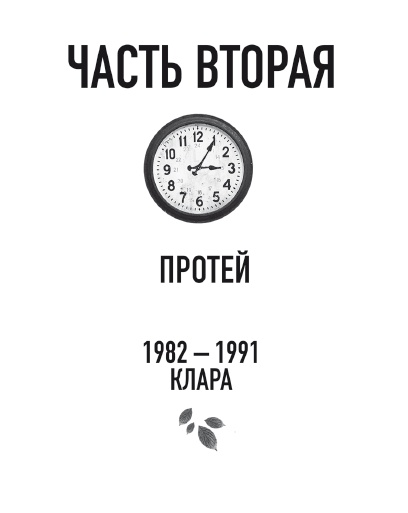 Бессмертники Бессмертники