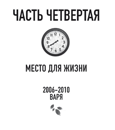 Бессмертники Бессмертники