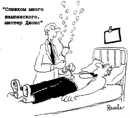Алкоголь - беседы врача. Руководство разумного любителя выпить Алкоголь - беседы врача. Руководство разумного любителя выпить
