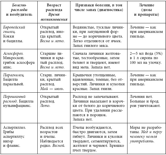 Пчеловодство. Первые шаги к прибыльному хозяйству Пчеловодство. Первые шаги к прибыльному хозяйству