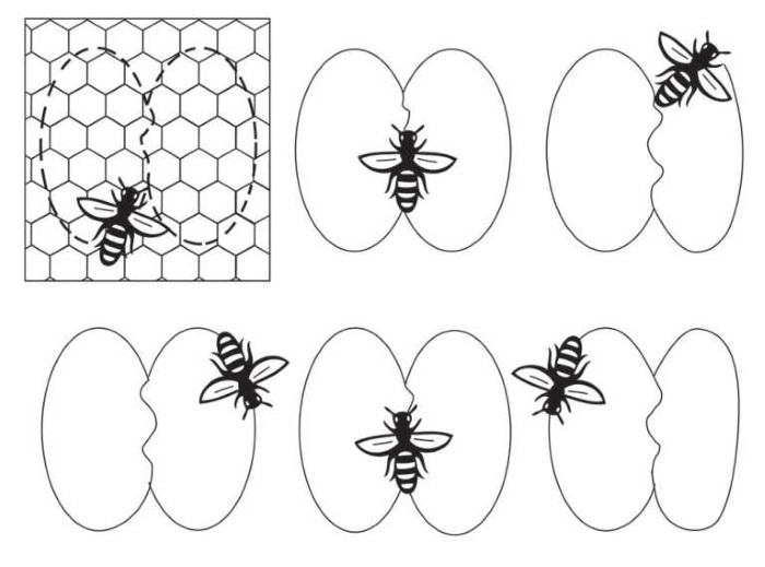 Пчеловодство. Первые шаги к прибыльному хозяйству Пчеловодство. Первые шаги к прибыльному хозяйству