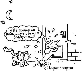 Ваш мужчина. Инструкция по эксплуатации Ваш мужчина. Инструкция по эксплуатации