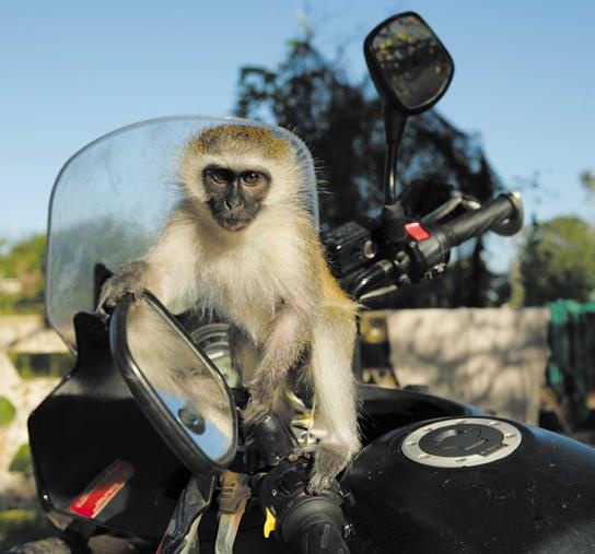 Travel-журналистика. Путешествуйте и зарабатывайте Travel-журналистика. Путешествуйте и зарабатывайте