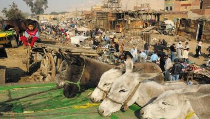 Travel-журналистика. Путешествуйте и зарабатывайте Travel-журналистика. Путешествуйте и зарабатывайте