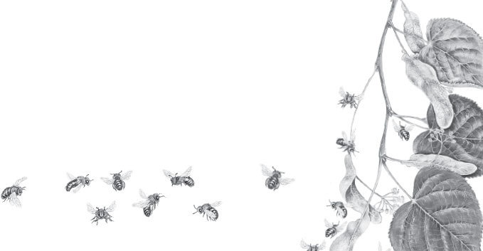 Спор животных. С вопросами и ответами для почемучек Спор животных. С вопросами и ответами для почемучек