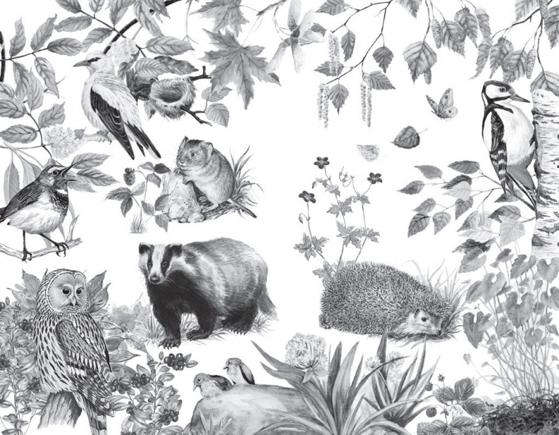 Спор животных. С вопросами и ответами для почемучек Спор животных. С вопросами и ответами для почемучек