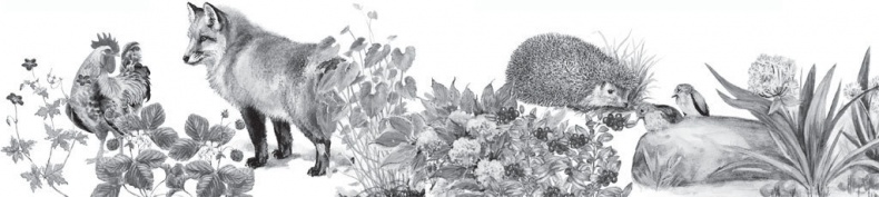 Спор животных. С вопросами и ответами для почемучек Спор животных. С вопросами и ответами для почемучек