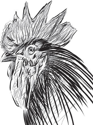 Спор животных. С вопросами и ответами для почемучек Спор животных. С вопросами и ответами для почемучек