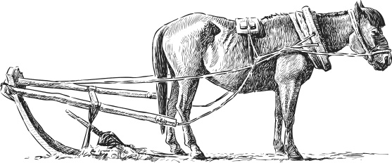 Спор животных. С вопросами и ответами для почемучек Спор животных. С вопросами и ответами для почемучек