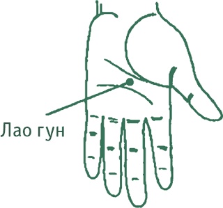 Лестница в небо, или Китайская медицина по-русски Лестница в небо, или Китайская медицина по-русски