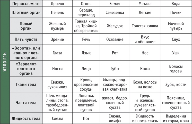 Лестница в небо, или Китайская медицина по-русски Лестница в небо, или Китайская медицина по-русски