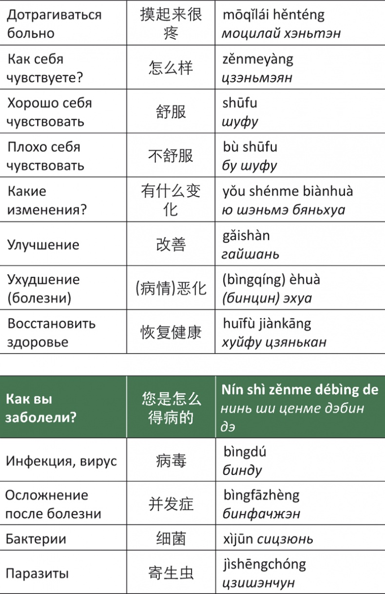 Лестница в небо, или Китайская медицина по-русски Лестница в небо, или Китайская медицина по-русски