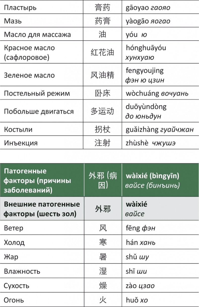 Лестница в небо, или Китайская медицина по-русски Лестница в небо, или Китайская медицина по-русски
