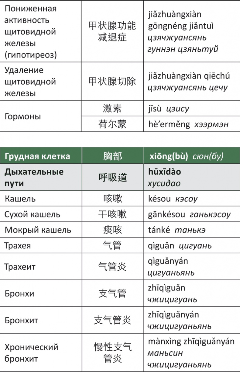 Лестница в небо, или Китайская медицина по-русски Лестница в небо, или Китайская медицина по-русски