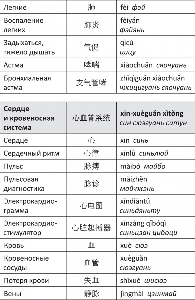 Лестница в небо, или Китайская медицина по-русски Лестница в небо, или Китайская медицина по-русски