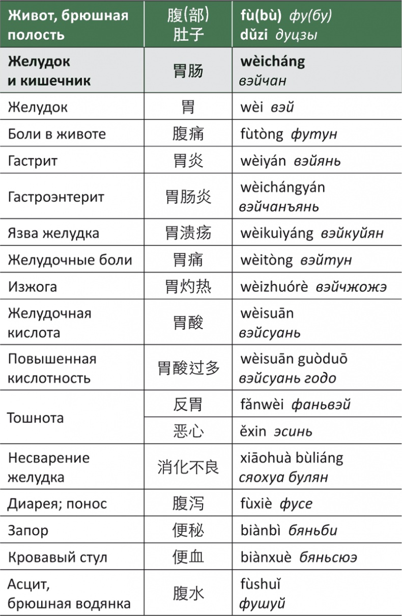 Лестница в небо, или Китайская медицина по-русски Лестница в небо, или Китайская медицина по-русски