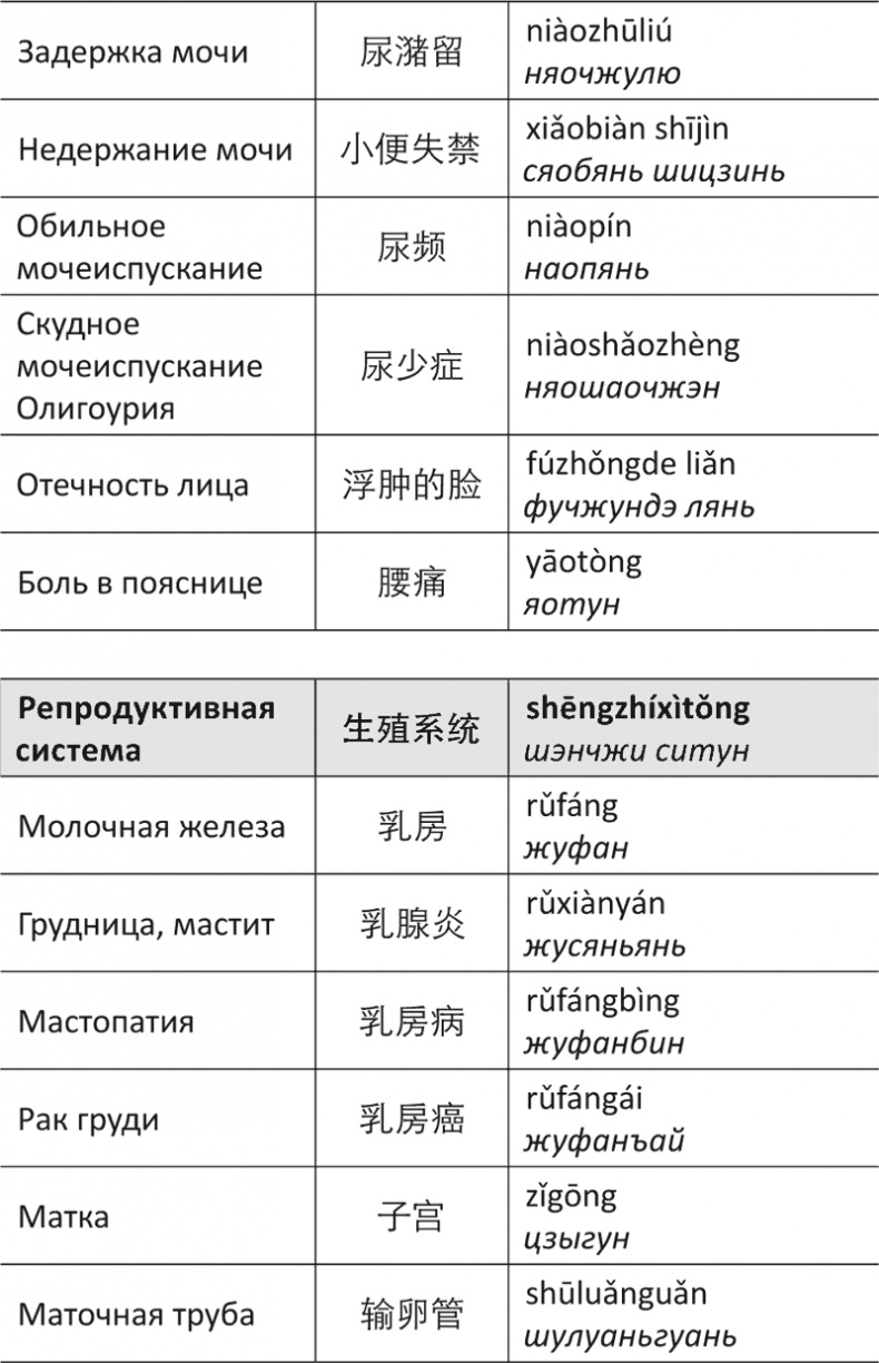 Лестница в небо, или Китайская медицина по-русски Лестница в небо, или Китайская медицина по-русски