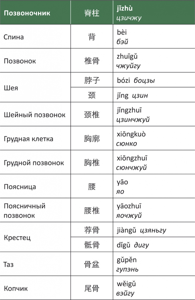 Лестница в небо, или Китайская медицина по-русски Лестница в небо, или Китайская медицина по-русски