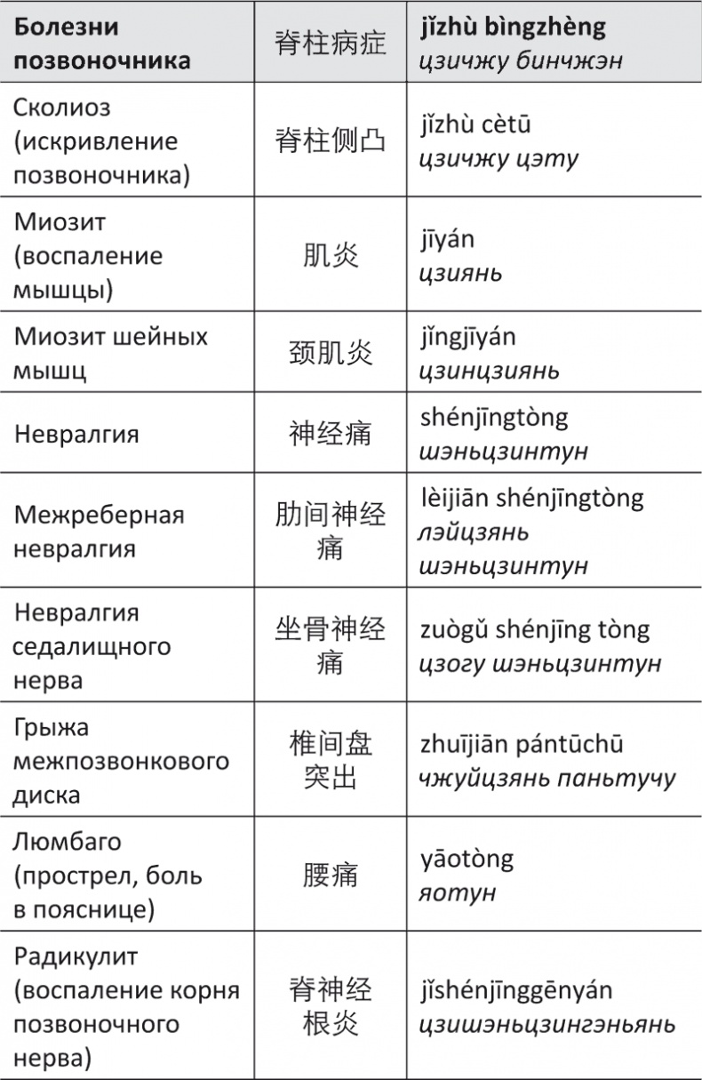 Лестница в небо, или Китайская медицина по-русски Лестница в небо, или Китайская медицина по-русски