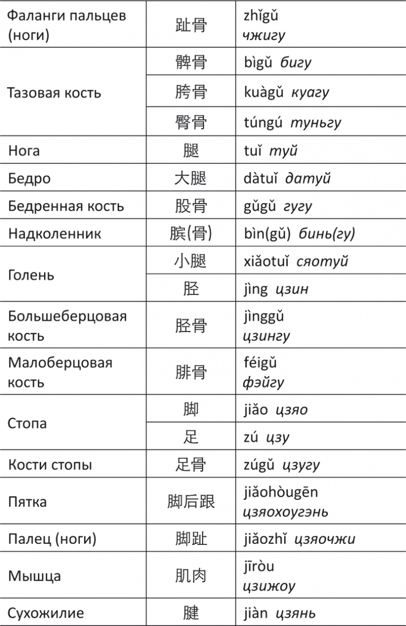 Лестница в небо, или Китайская медицина по-русски Лестница в небо, или Китайская медицина по-русски