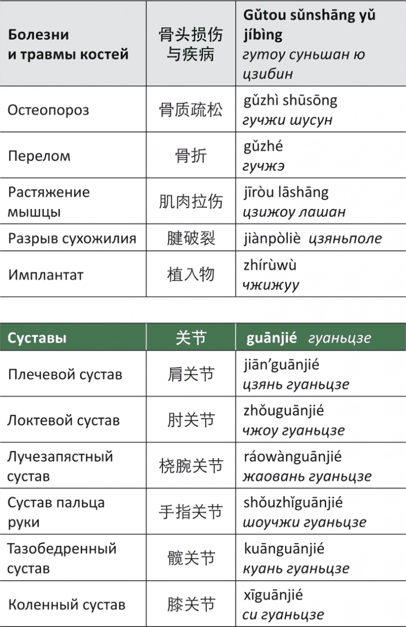 Лестница в небо, или Китайская медицина по-русски Лестница в небо, или Китайская медицина по-русски