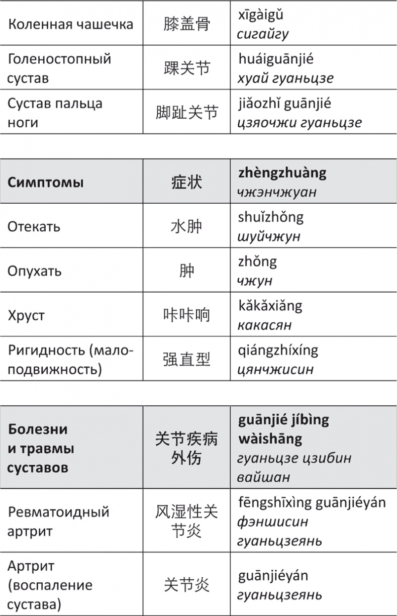 Лестница в небо, или Китайская медицина по-русски Лестница в небо, или Китайская медицина по-русски