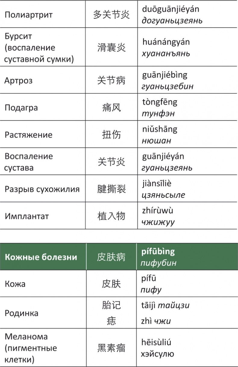 Лестница в небо, или Китайская медицина по-русски
