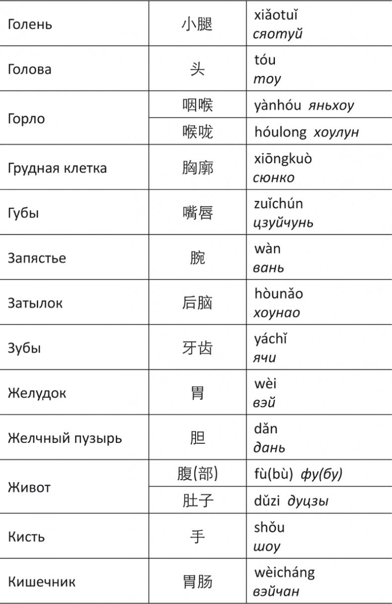 Лестница в небо, или Китайская медицина по-русски