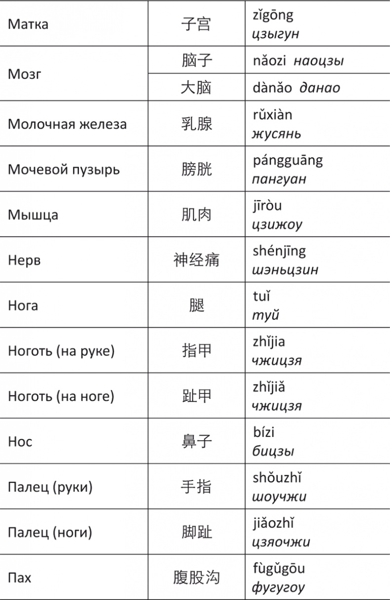 Лестница в небо, или Китайская медицина по-русски