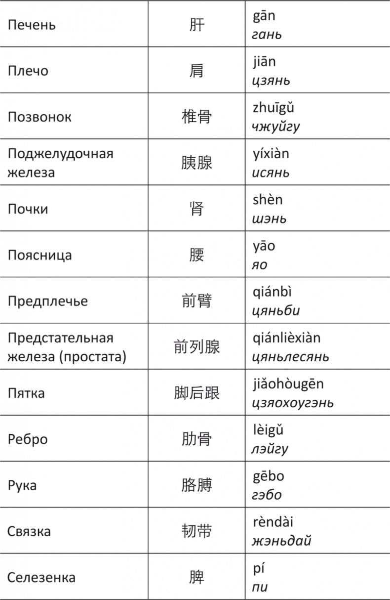 Лестница в небо, или Китайская медицина по-русски