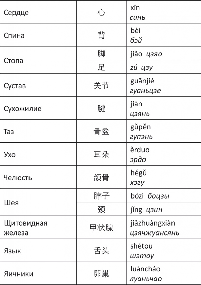Лестница в небо, или Китайская медицина по-русски