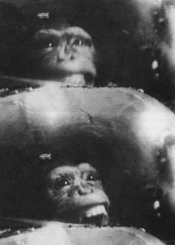 История космического соперничества СССР и США История космического соперничества СССР и США