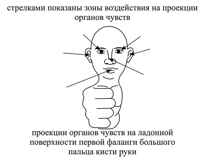 Почему мы болеем? Виртуальные реальности болезней и зависимостей. Выход есть! Теория и практика Почему мы болеем? Виртуальные реальности болезней и зависимостей. Выход есть! Теория и практика