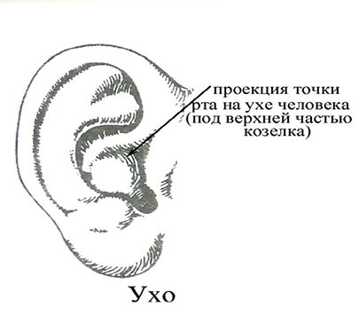 Почему мы болеем? Виртуальные реальности болезней и зависимостей. Выход есть! Теория и практика Почему мы болеем? Виртуальные реальности болезней и зависимостей. Выход есть! Теория и практика