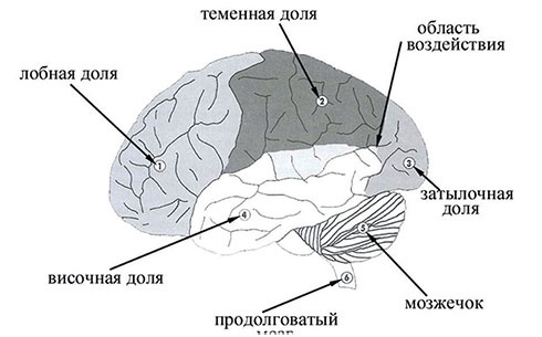 Почему мы болеем? Виртуальные реальности болезней и зависимостей. Выход есть! Теория и практика Почему мы болеем? Виртуальные реальности болезней и зависимостей. Выход есть! Теория и практика