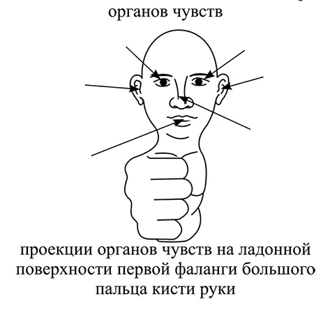 Почему мы болеем? Виртуальные реальности болезней и зависимостей. Выход есть! Теория и практика Почему мы болеем? Виртуальные реальности болезней и зависимостей. Выход есть! Теория и практика