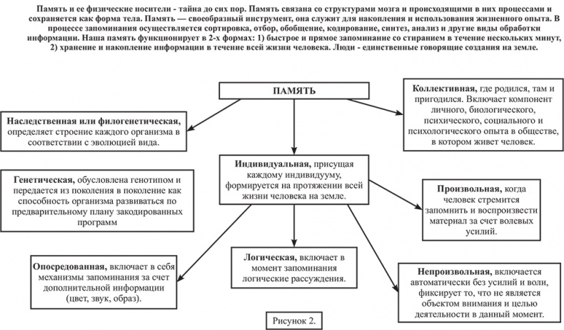 Почему мы болеем? Виртуальные реальности болезней и зависимостей. Выход есть! Теория и практика Почему мы болеем? Виртуальные реальности болезней и зависимостей. Выход есть! Теория и практика